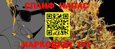 МДПВ Пушкино