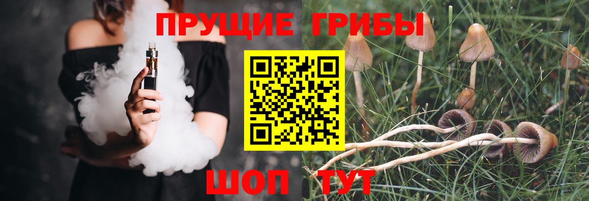 Псилоцибиновые грибы Psilocybe  Галлюциногенные грибы GOLDEN TEACHER  Вологда  Вход с VPN 